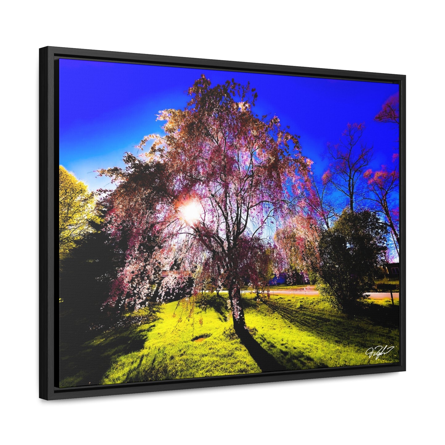 Spring's Euphoria :: Matte Canvas, Black Frame